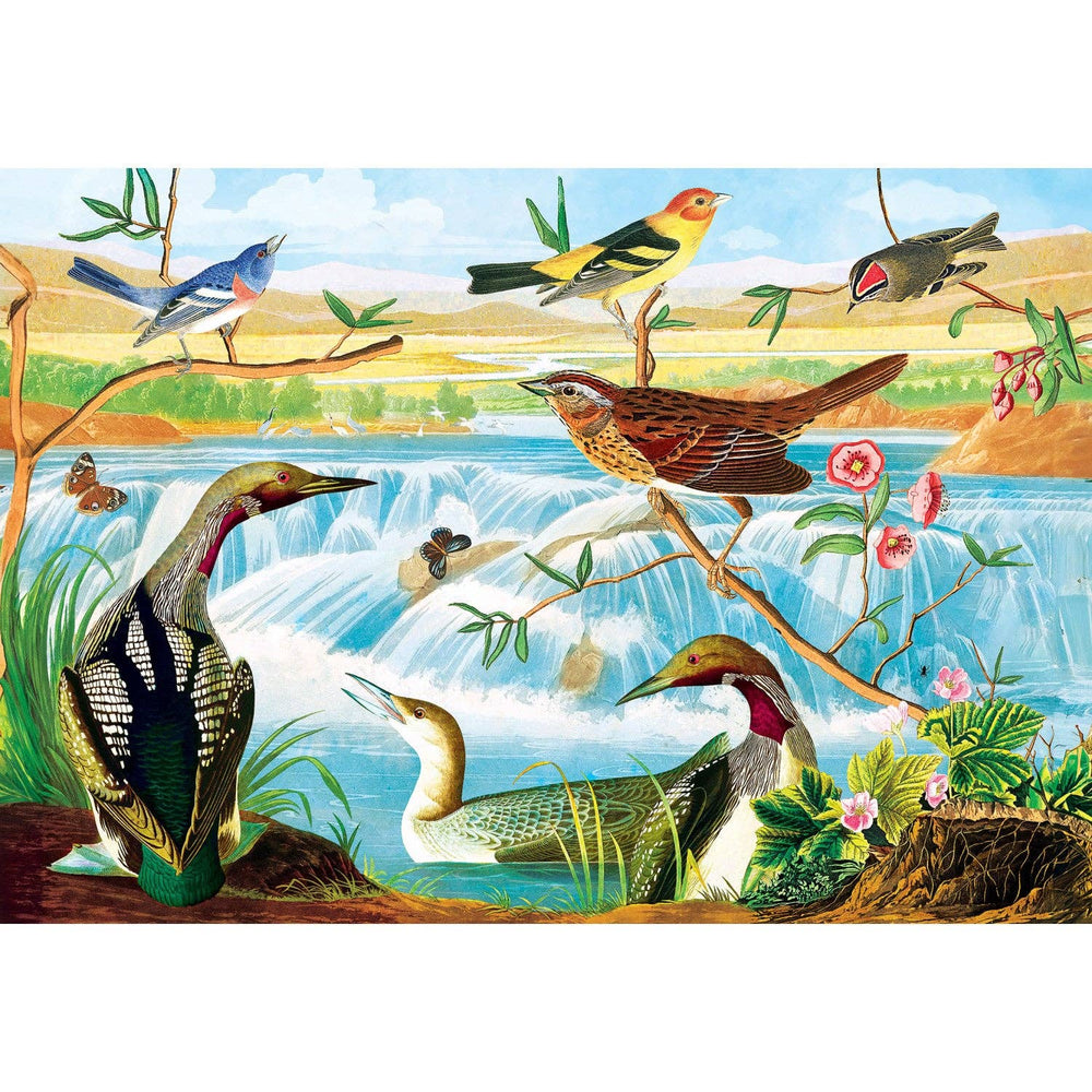 Audubon 2000 Piece Jigsaw Puzzle - Signature Collection | Masterpieces - Masterpieces Puzzles - Jigsaw Puzzles - The Puzzle Center