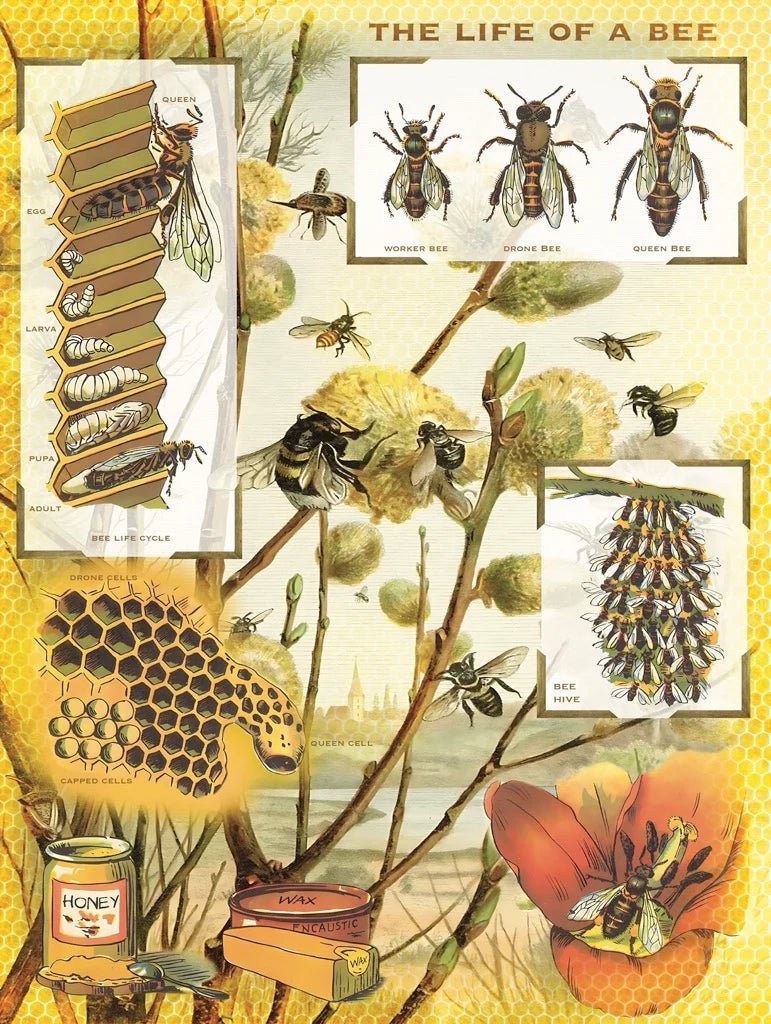 Bees & Honey 1000 Piece Jigsaw Puzzle by Yew York Puzzle Company - New York Puzzle Company - Jigsaw Puzzles - The Puzzle Center -
