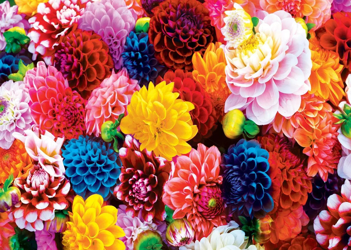 Brilliance Beautiful Blooms 500 Piece Jigsaw Puzzle | Masterpieces - Jigsaw Puzzles - The Puzzle Center