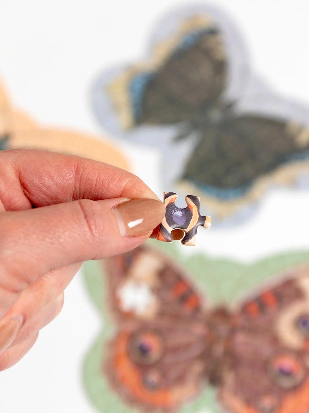 Butterfly Friends 100 Piece Jigsaw Puzzles | 1Canoe2 - Jigsaw Puzzles - The Puzzle Center