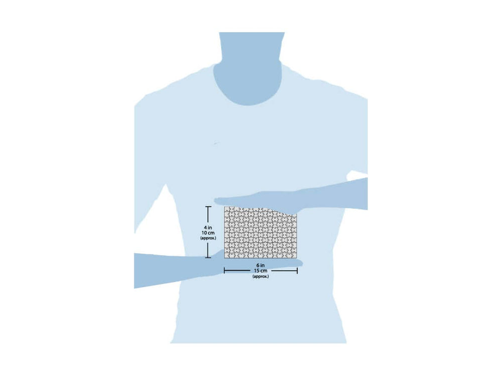 Dolphin - Marine Life Mini Jigsaw Puzzle | MicroPuzzles - Mini Jigsaw Puzzles - The Puzzle Center