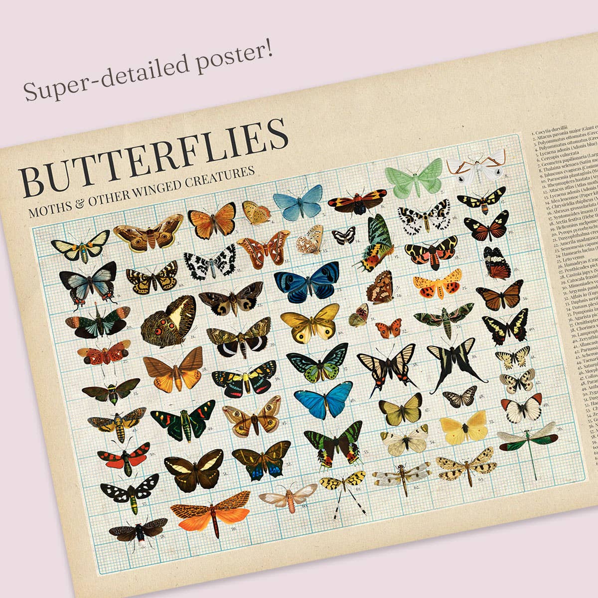 Entomology 1000 Piece Jigsaw Puzzle | Cloudberries - Jigsaw Puzzles - The Puzzle Center