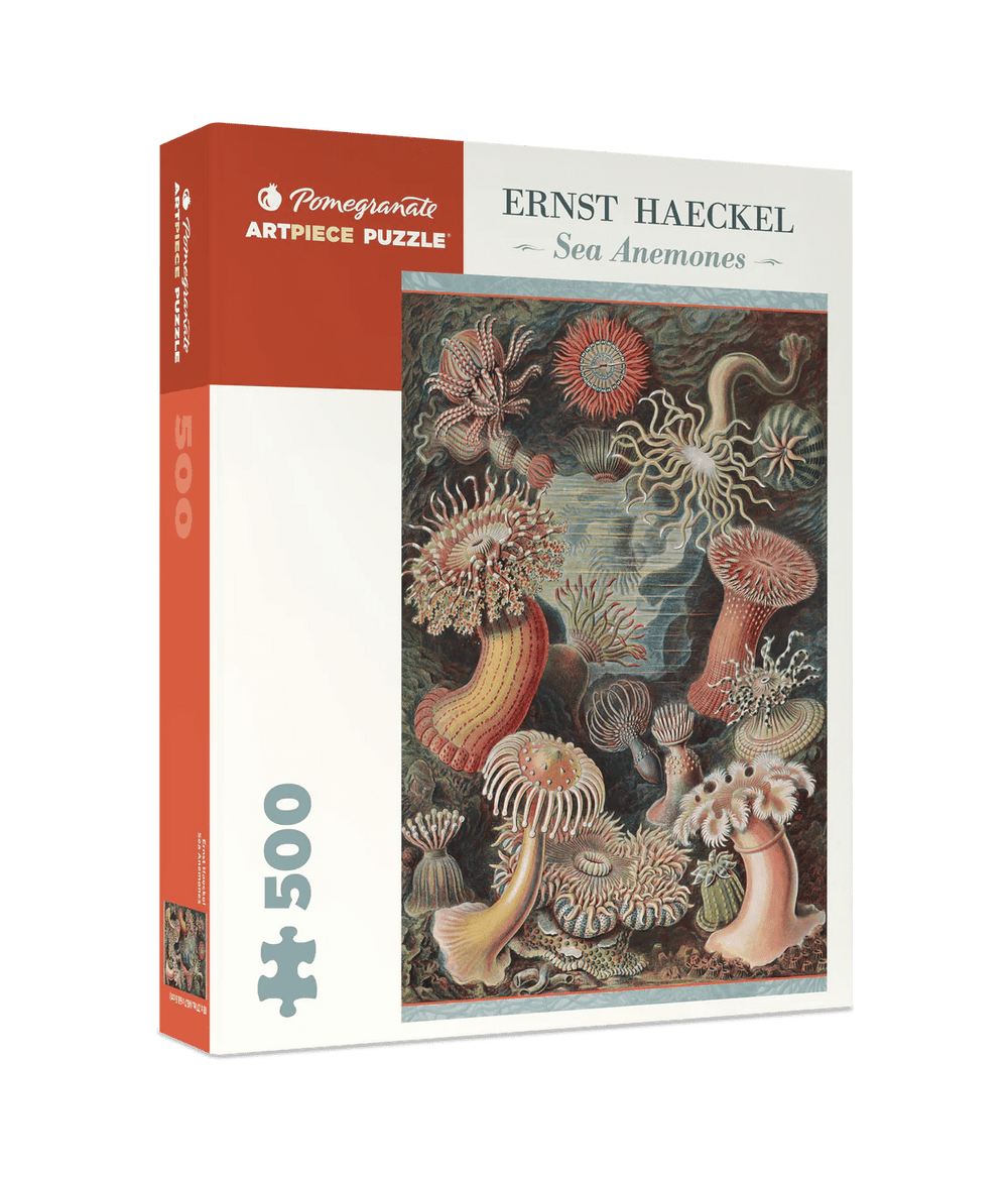 Ernst Haeckel: Sea Anemones 500 - Piece Jigsaw Puzzle by Pomegranate - Pomegranate - Jigsaw Puzzles - The Puzzle Center -