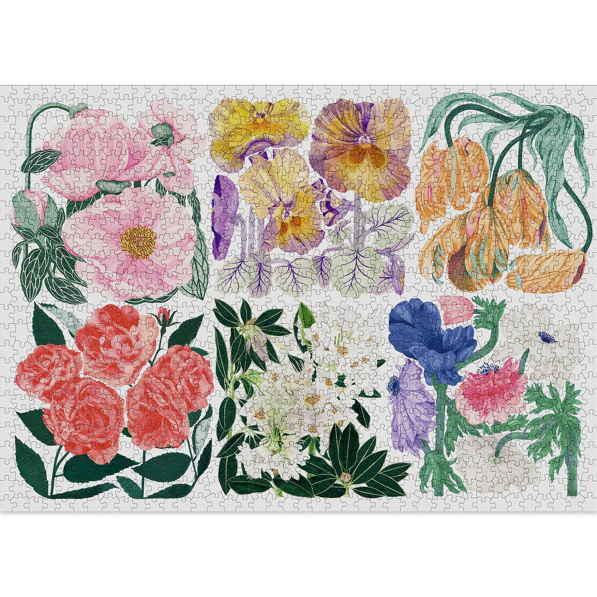 Flora 1000 Piece Jigsaw Puzzle | Cloudberries - Jigsaw Puzzles - The Puzzle Center