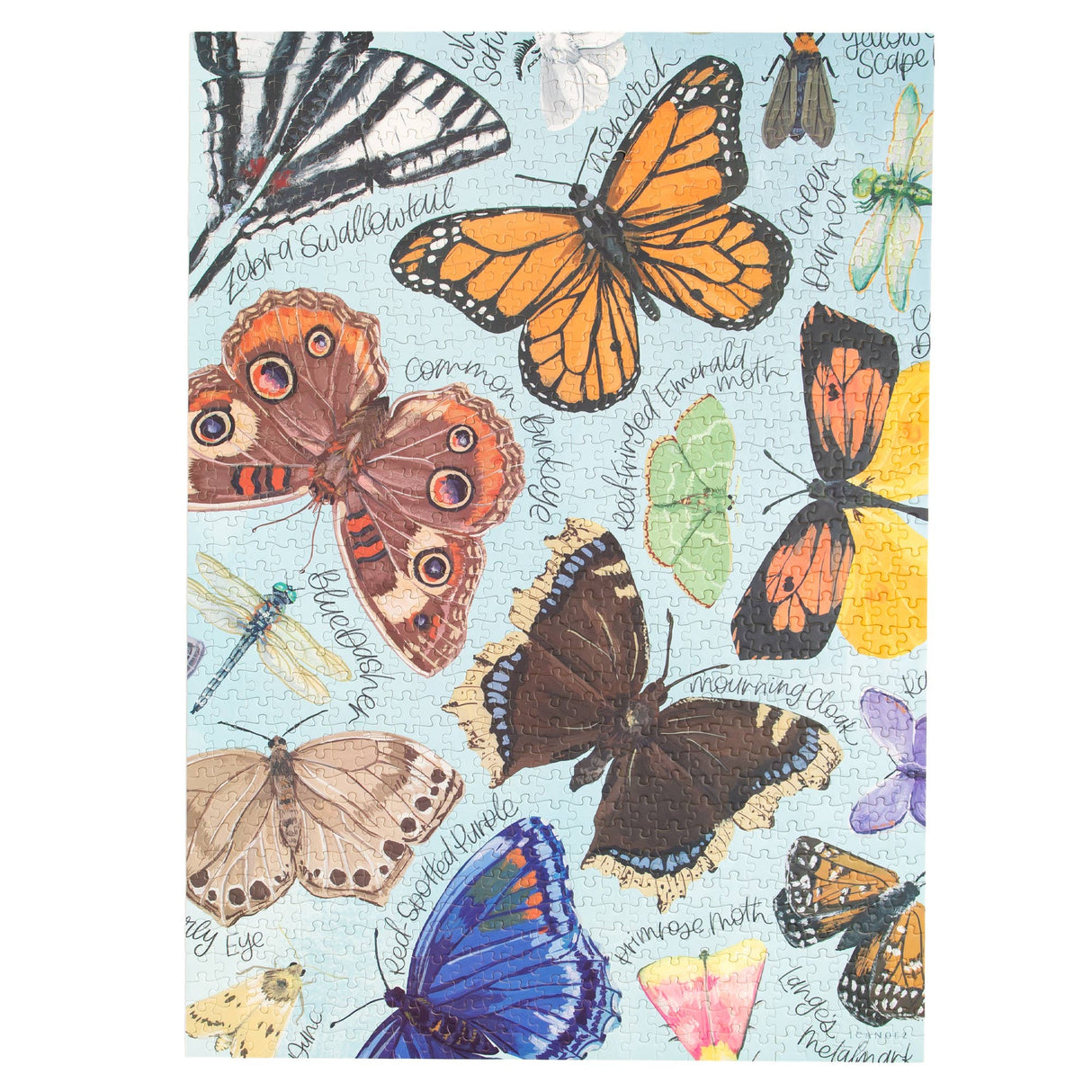 Flutter Friends Butterfly 1000 Piece Jigsaw Puzzle | 1Canoe2 - Jigsaw Puzzles - The Puzzle Center