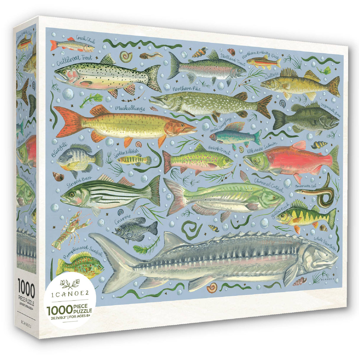 Freshwater Fish 1000 Piece Jigsaw Puzzle | 1Canoe2 - Jigsaw Puzzles - The Puzzle Center