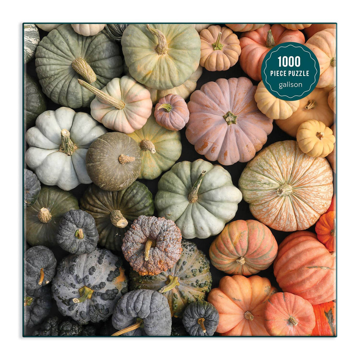 Heirloom Pumpkins 1000 Piece Puzzle by Galison - Galison - Jigsaw Puzzles - The Puzzle Center -