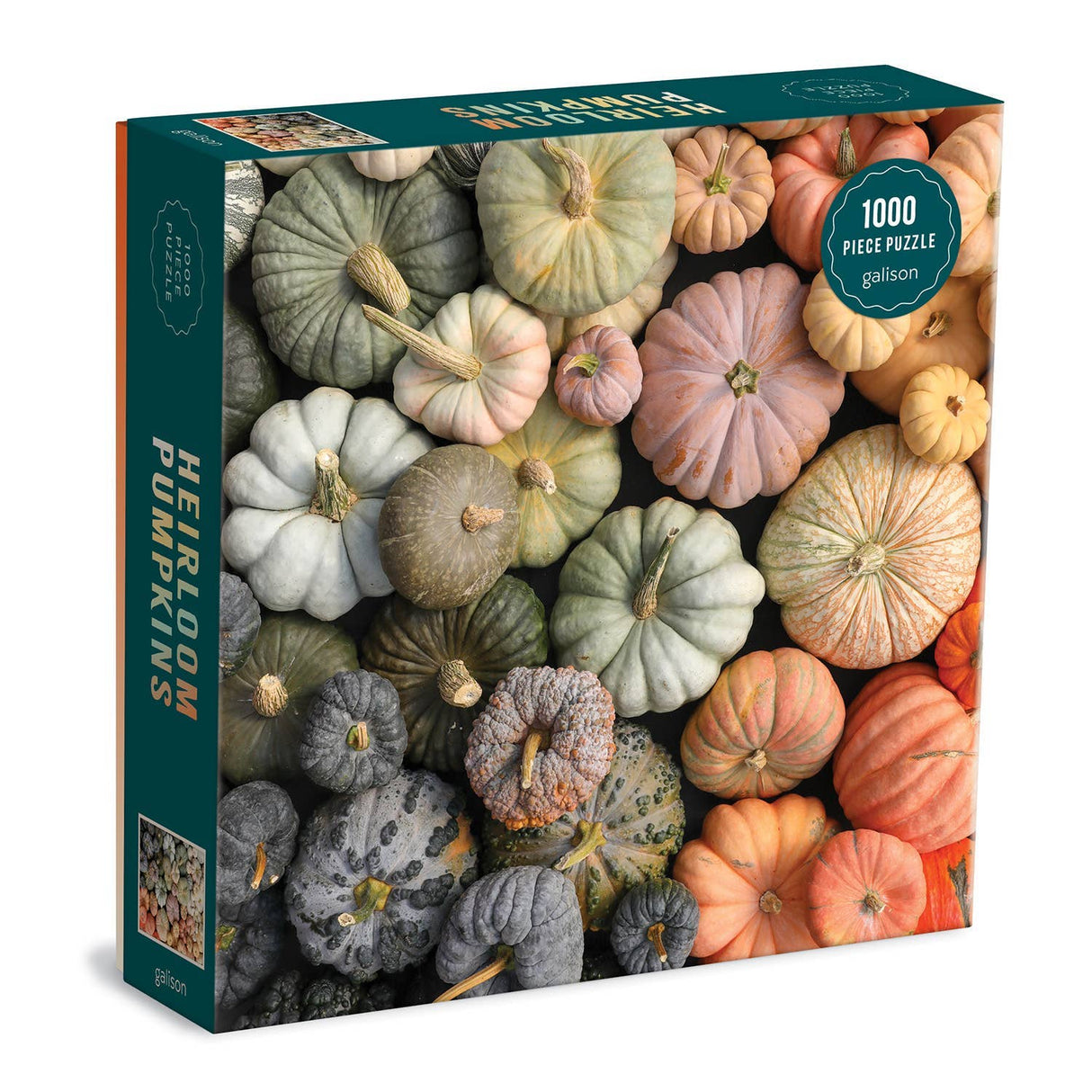 Heirloom Pumpkins 1000 Piece Puzzle by Galison - Galison - Jigsaw Puzzles - The Puzzle Center -