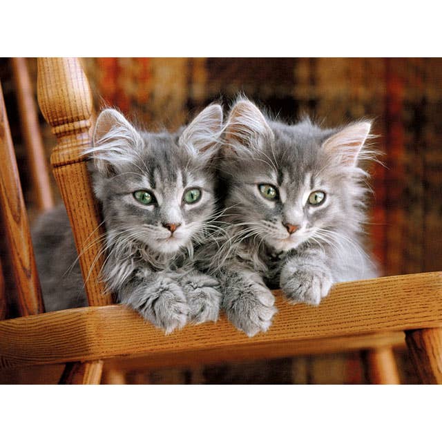 Kittens - 500 Piece Puzzle by Clementoni - Clementoni - Jigsaw Puzzles - The Puzzle Center -