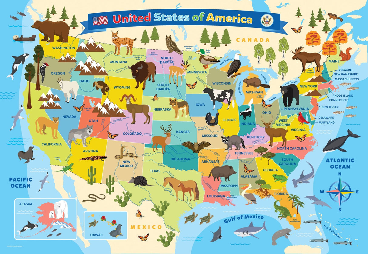 Map of the United States of America 100 Piece Jigsaw Puzzle by Eurographics - SMART KIDS Collection - Eurographics - Jigsaw Puzzles - The Puzzle Center -