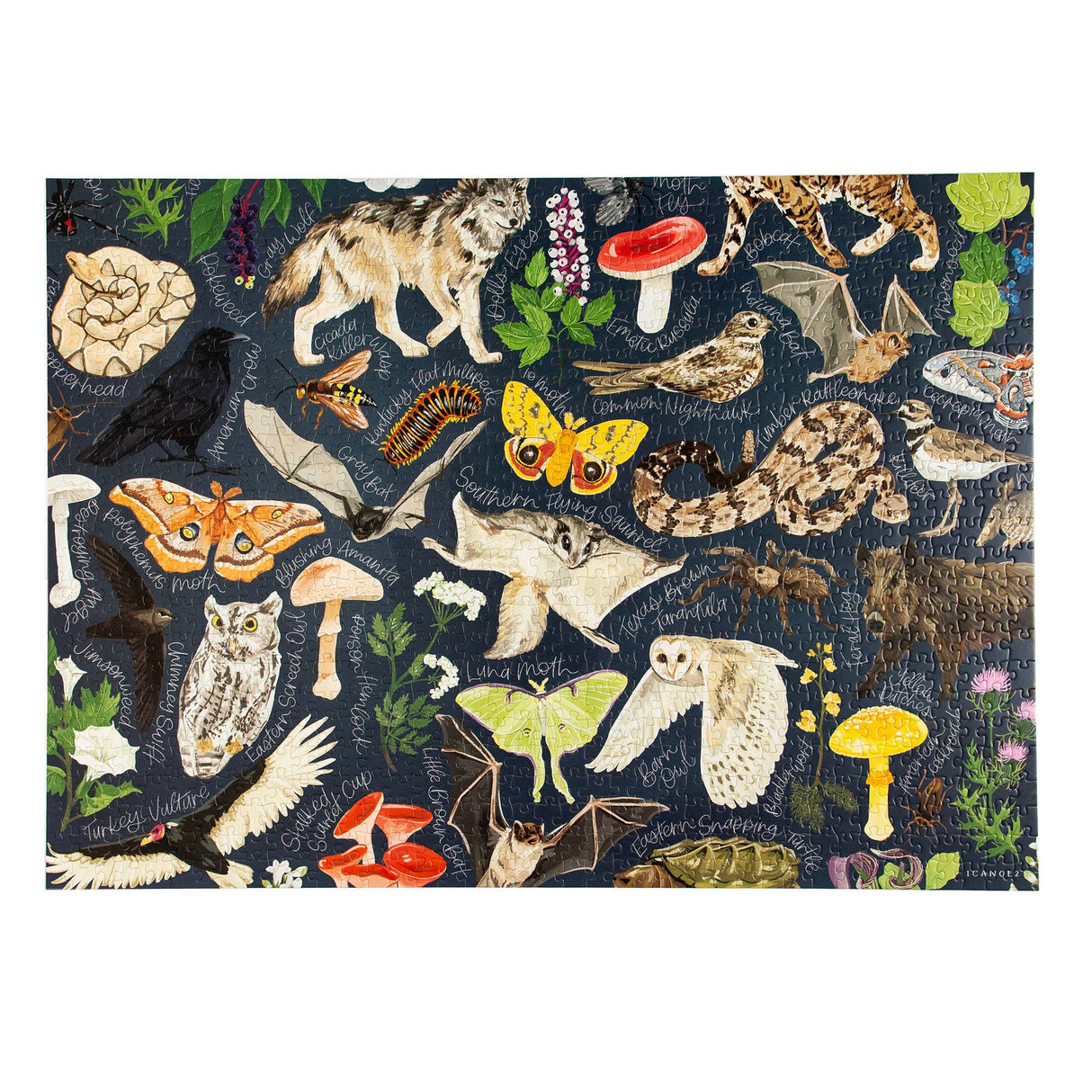 Midnight Flora & Fauna 1000 Piece Jigsaw Puzzle | 1Canoe2 - Jigsaw Puzzles - The Puzzle Center