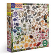 Mushroom Rainbow 1000 Piece Square Jigsaw Puzzle by eeBoo - eeBoo - Jigsaw Puzzles - The Puzzle Center -