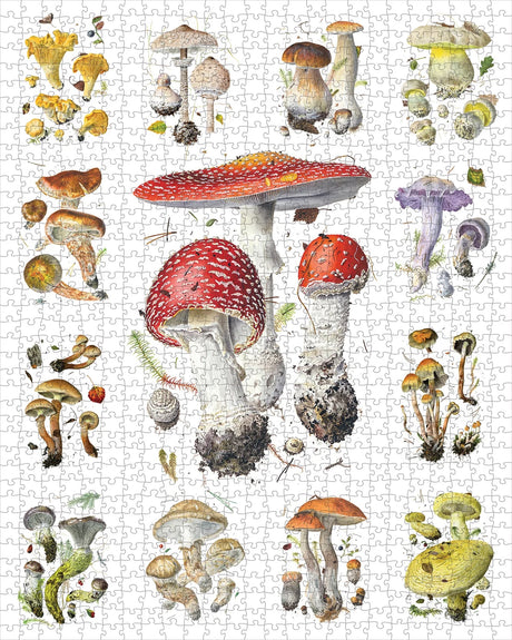 Mushrooms: Alexander Viazmensky 1000 - Piece Jigsaw Puzzle by Pomegranate - Pomegranate - Jigsaw Puzzles - The Puzzle Center -