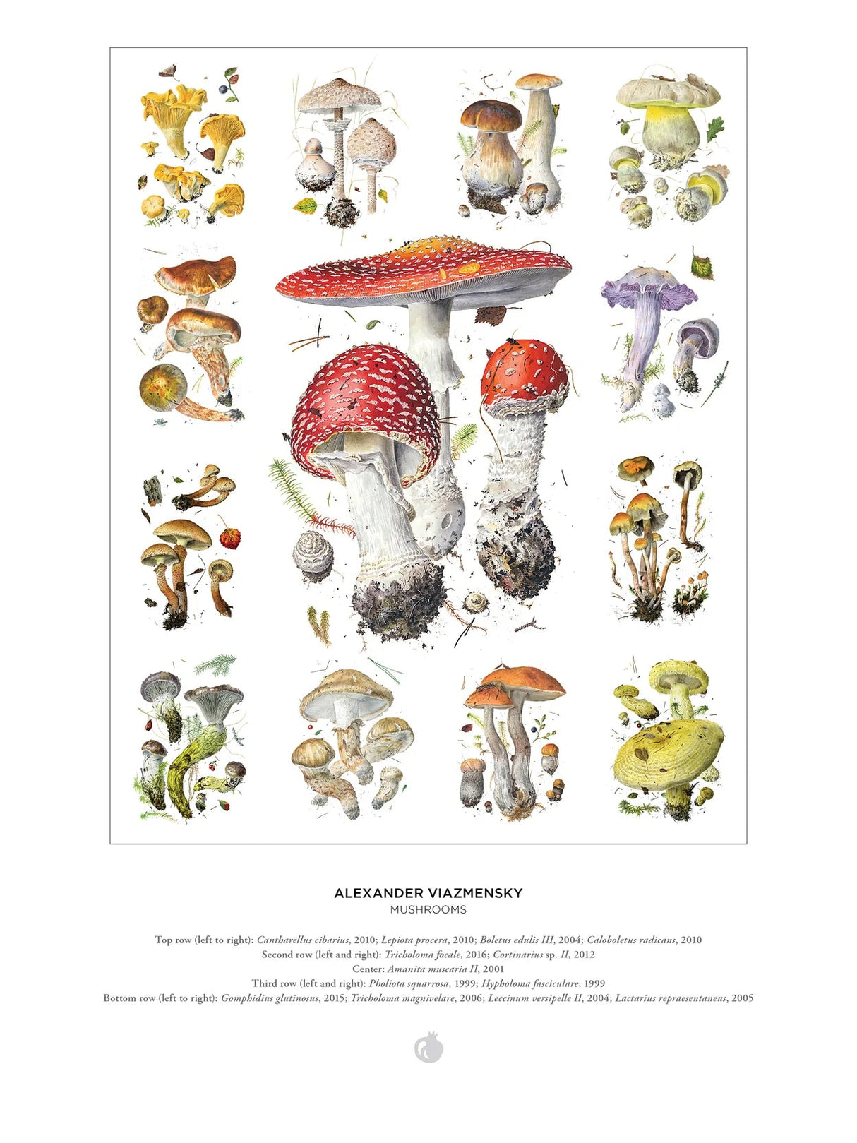 Mushrooms: Alexander Viazmensky 1000 - Piece Jigsaw Puzzle by Pomegranate - Pomegranate - Jigsaw Puzzles - The Puzzle Center -