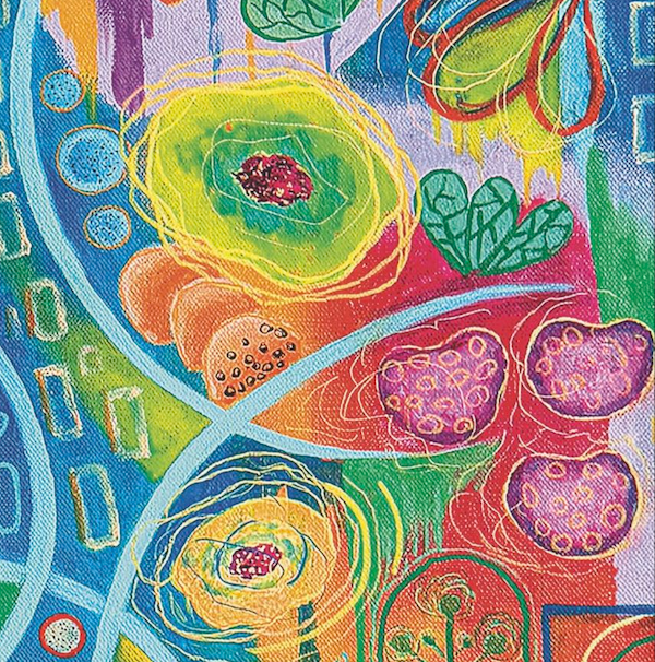 Nature Spirals 1000 Piece Jigsaw Puzzle | Art & Fable - Jigsaw Puzzles - The Puzzle Center