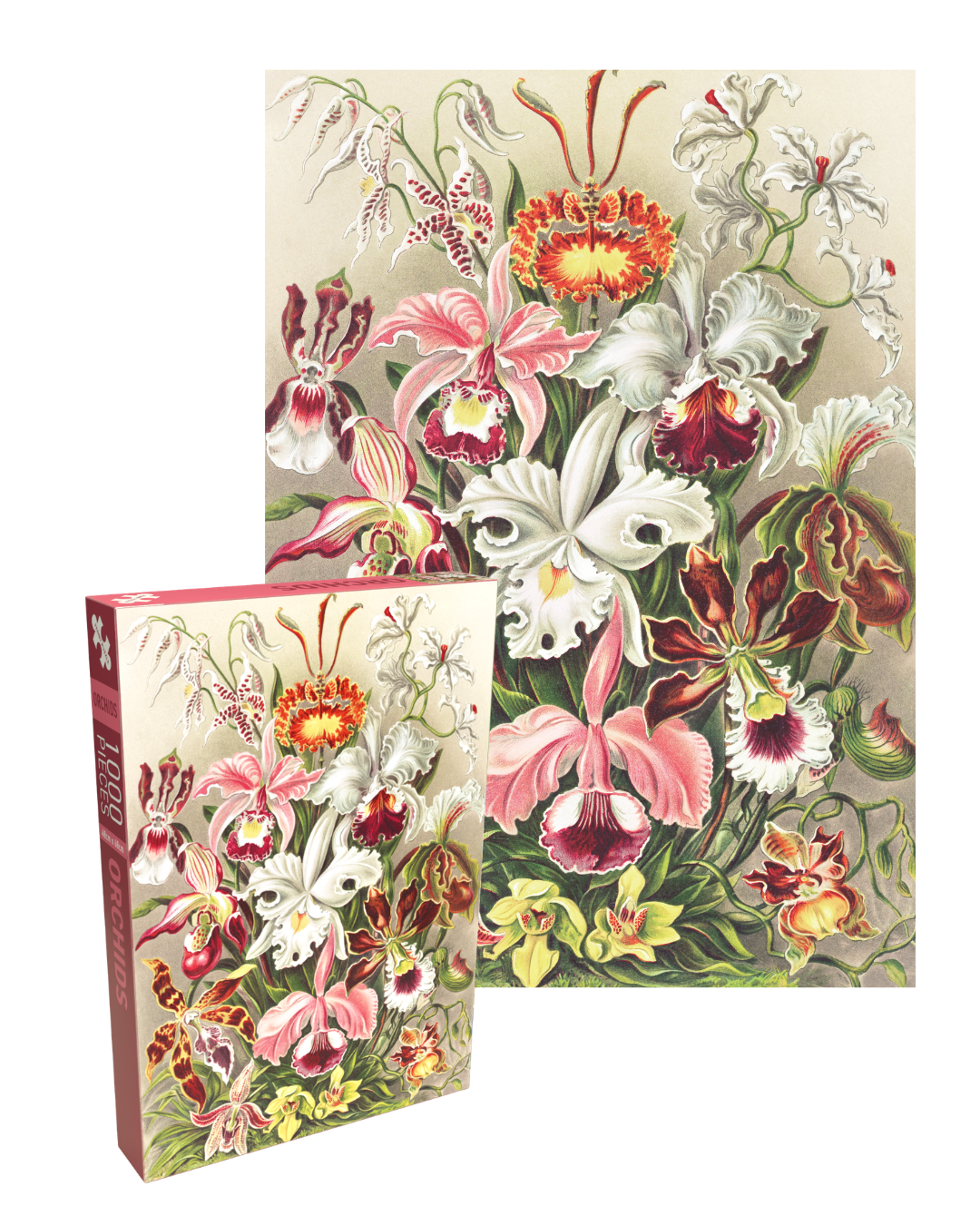 Orchids 500 Piece Jigsaw Puzzle | Penny Puzzle - Jigsaw Puzzles - The Puzzle Center