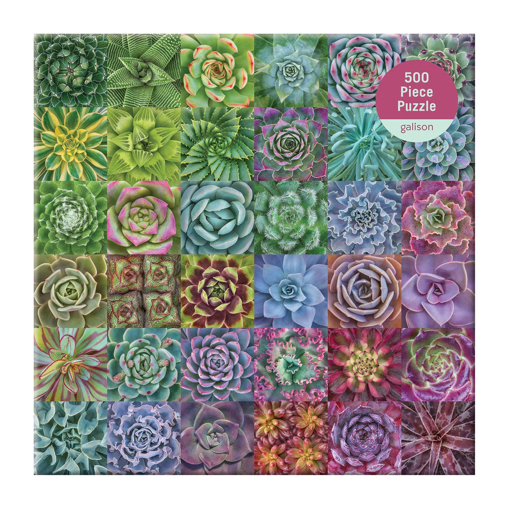 Succulent Spectrum 500 Piece Puzzle by Galison - Galison - Jigsaw Puzzles - The Puzzle Center -