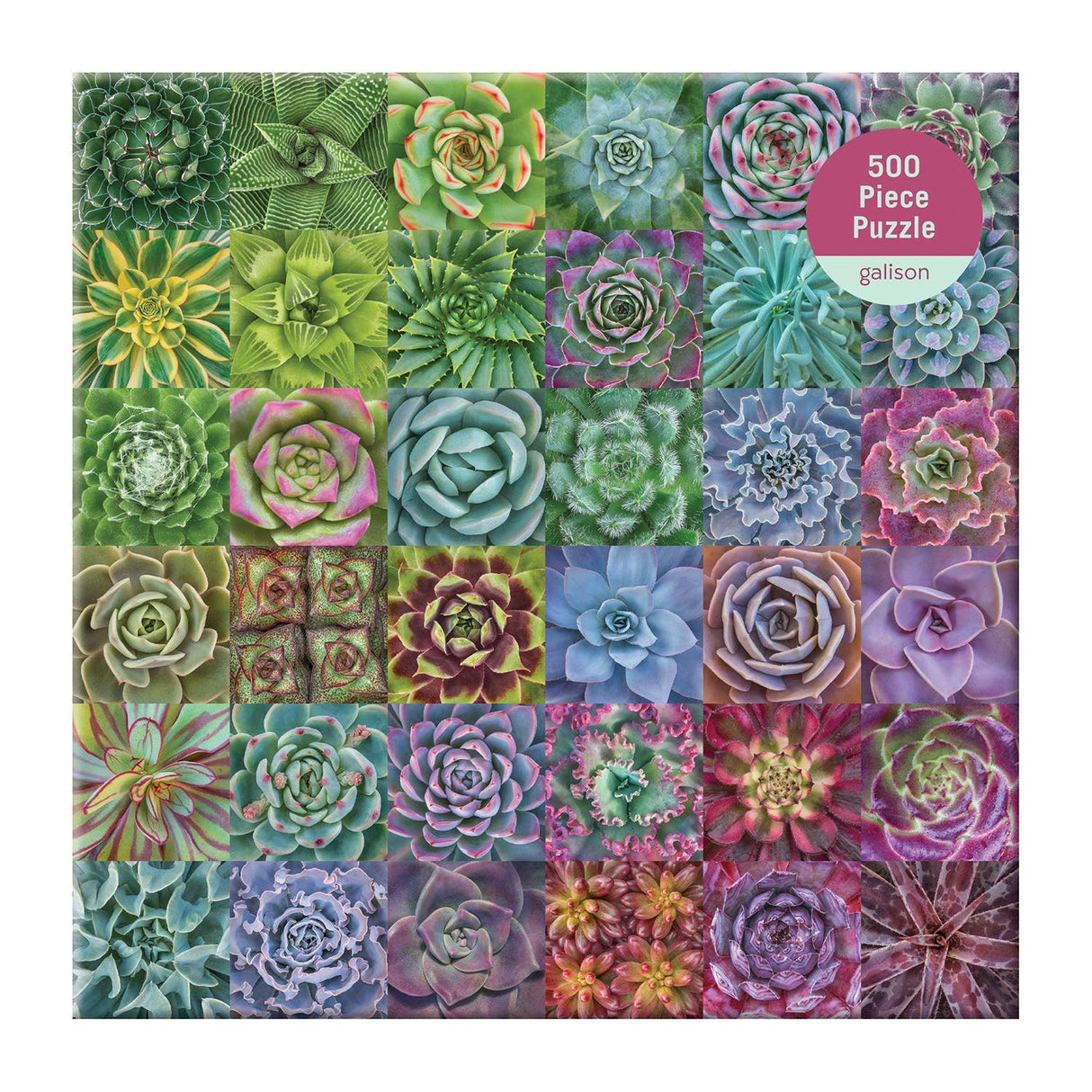 Succulent Spectrum 500 Piece Puzzle by Galison - Galison - Jigsaw Puzzles - The Puzzle Center -