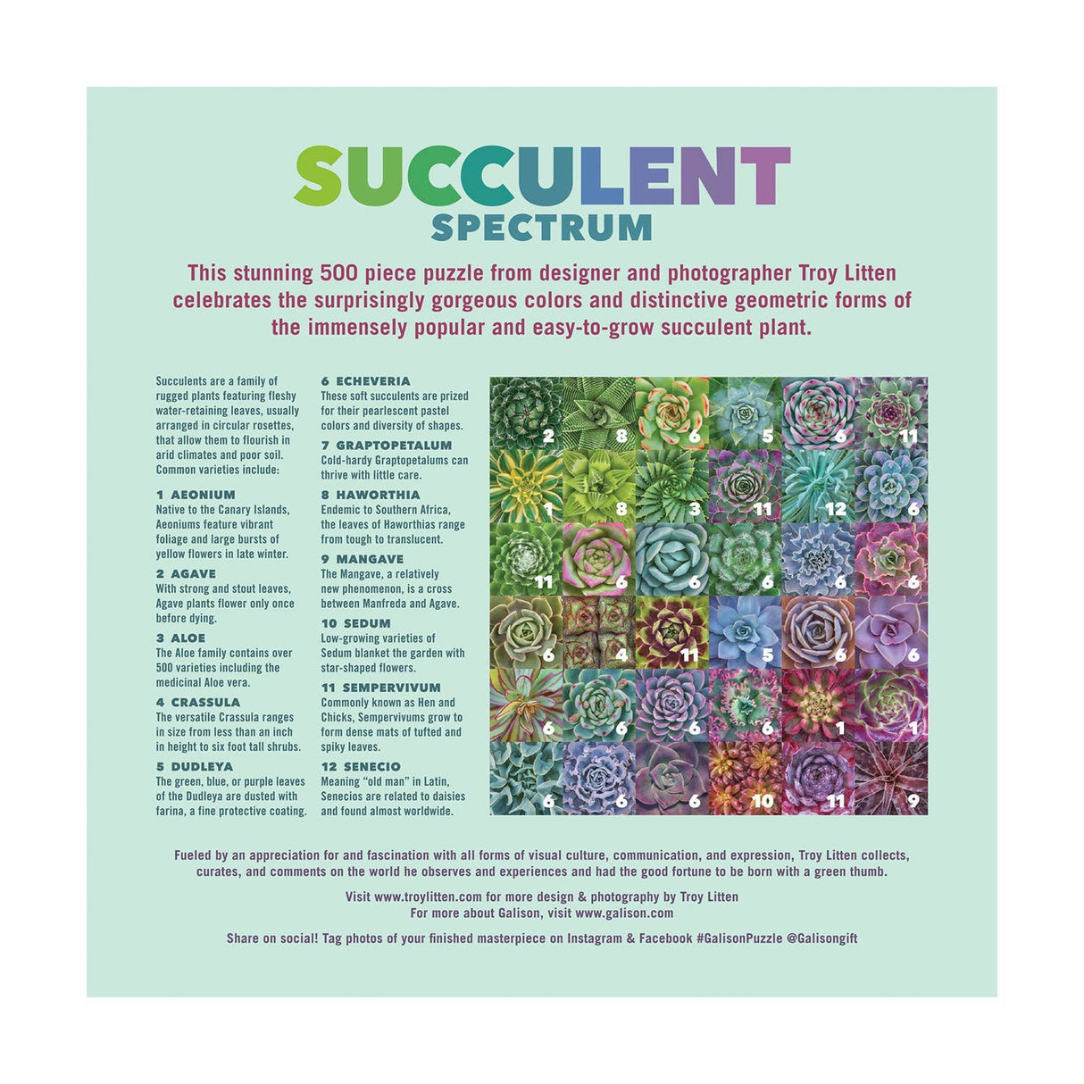 Succulent Spectrum 500 Piece Puzzle by Galison - Galison - Jigsaw Puzzles - The Puzzle Center -