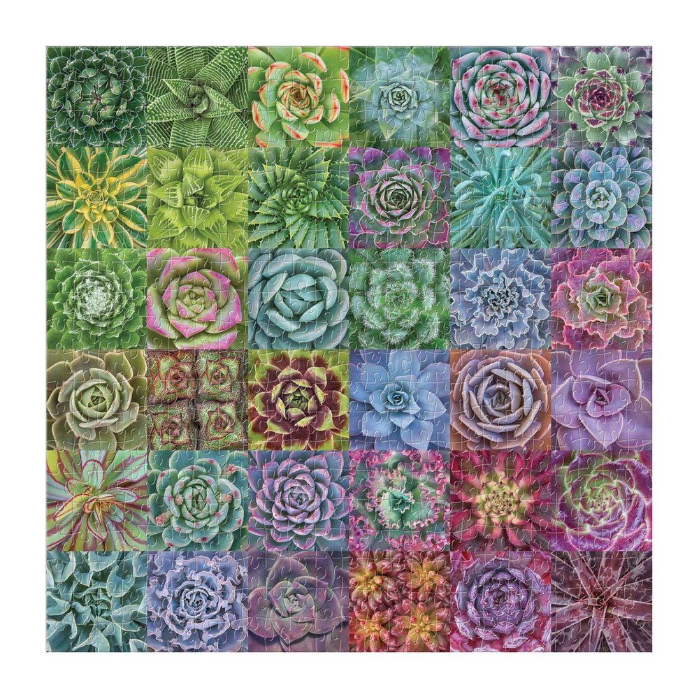 Succulent Spectrum 500 Piece Puzzle by Galison - Galison - Jigsaw Puzzles - The Puzzle Center -