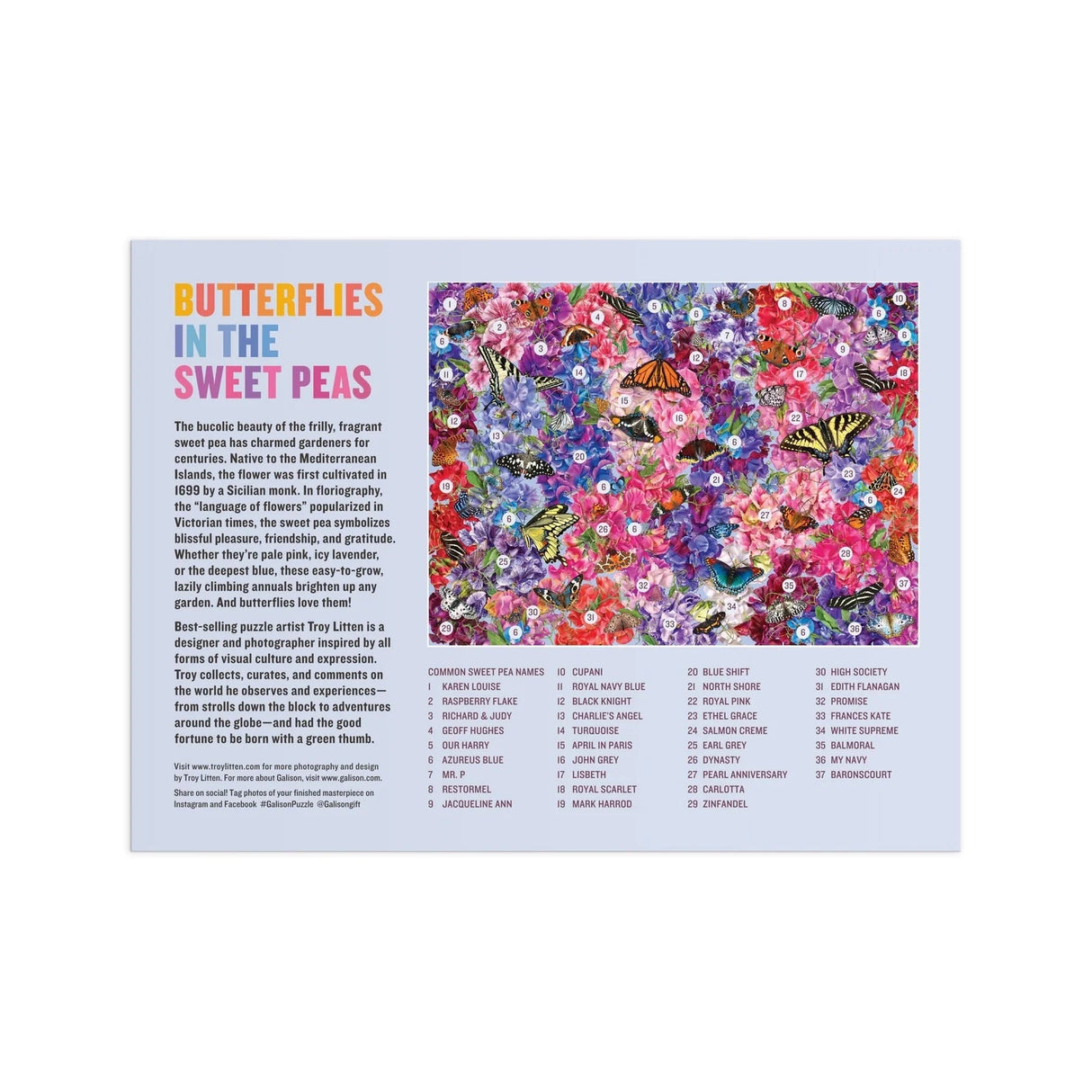 Troy Litten Butterflies In the Sweet Peas 1000 Piece Jigsaw Puzzle | Galison - Jigsaw Puzzles - The Puzzle Center