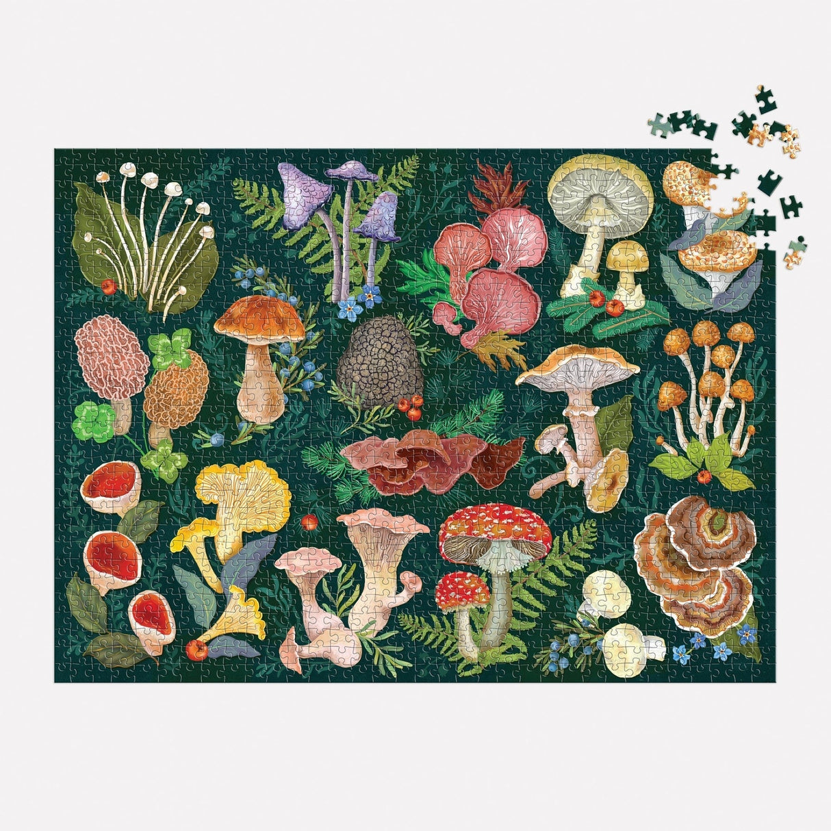 World of Mushrooms 1000 Piece Jigsaw Puzzle | Galison - Jigsaw Puzzles - The Puzzle Center