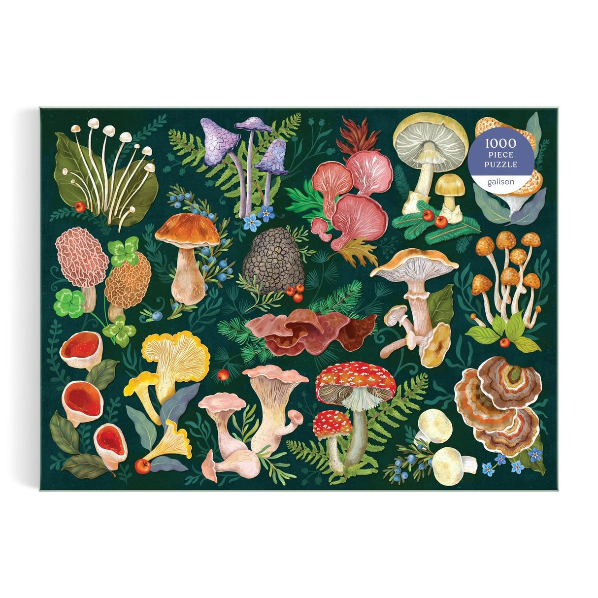 World of Mushrooms 1000 Piece Jigsaw Puzzle | Galison