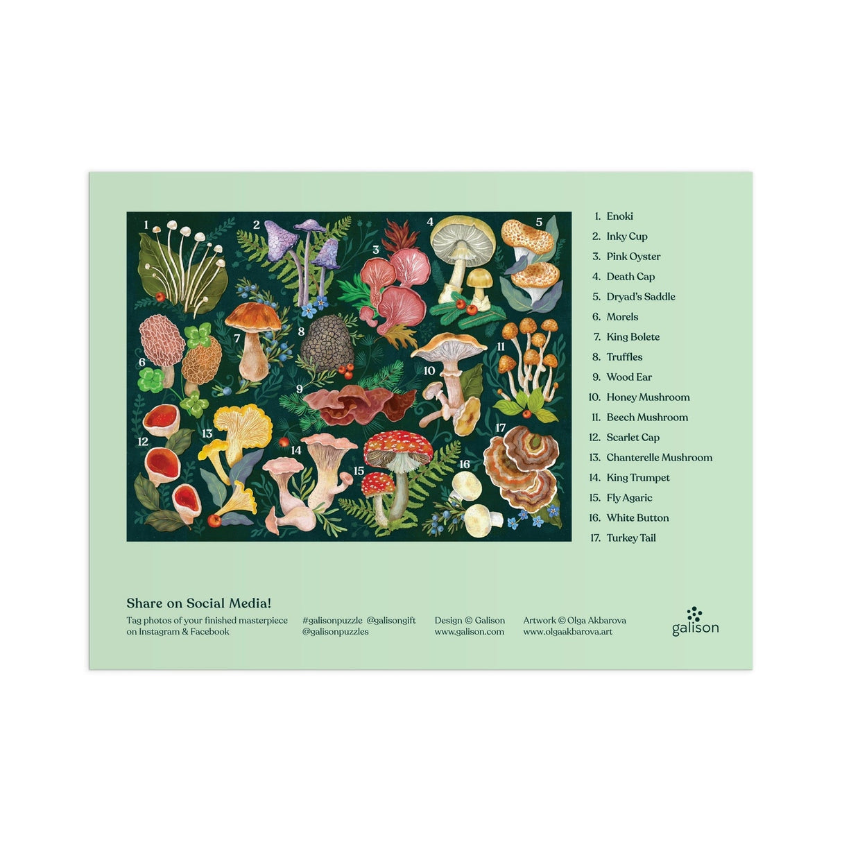 World of Mushrooms 1000 Piece Jigsaw Puzzle | Galison