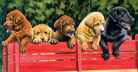 All Aboard 500 Piece Jigsaw Puzzle by SunsOut Puzzles - SunsOut - Jigsaw Puzzles - The Puzzle Center