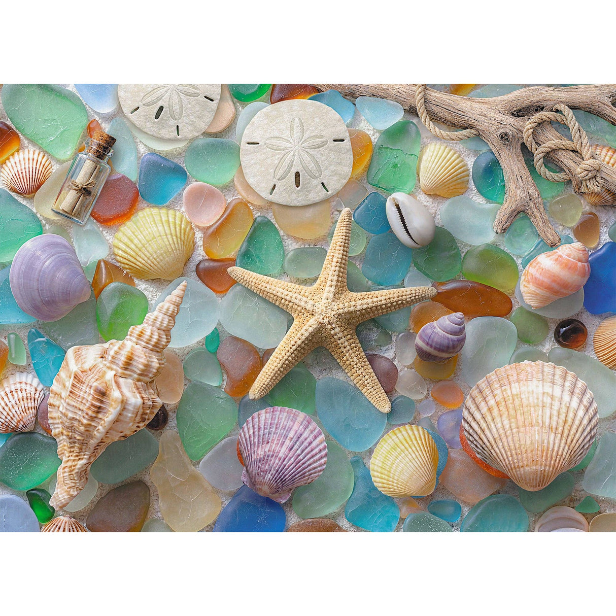 Washed Ashore 1000 Piece Jigsaw Puzzle | Final Piece Puzzles