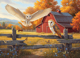 Barn and Owls 500 Piece Jigsaw Puzzle | Cobble Hill - Jigsaw Puzzles - The Puzzle Center