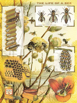 Bees & Honey 1000 Piece Jigsaw Puzzle by Yew York Puzzle Company - New York Puzzle Company - Jigsaw Puzzles - The Puzzle Center - 