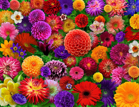 Blooming Every Daisy 500 Piece Jigsaw Puzzle by Springbok Puzzles - Springbok Puzzles - Jigsaw Puzzles - The Puzzle Center