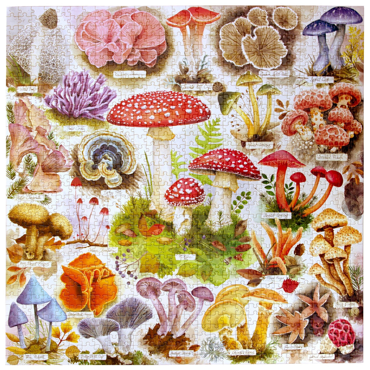 Bountiful Mushrooms 1000 Piece Jigsaw Puzzle | eeBoo - Jigsaw Puzzles - The Puzzle Center