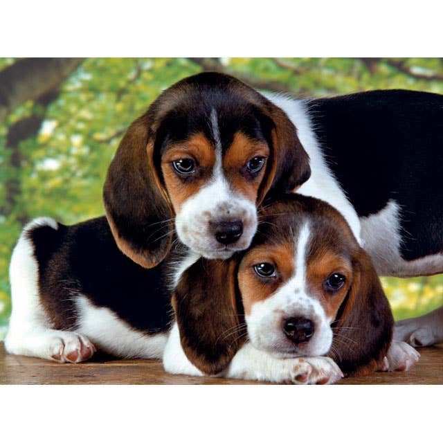 Close Together 500 Piece Puzzle by Clementoni | Cute Beagle
