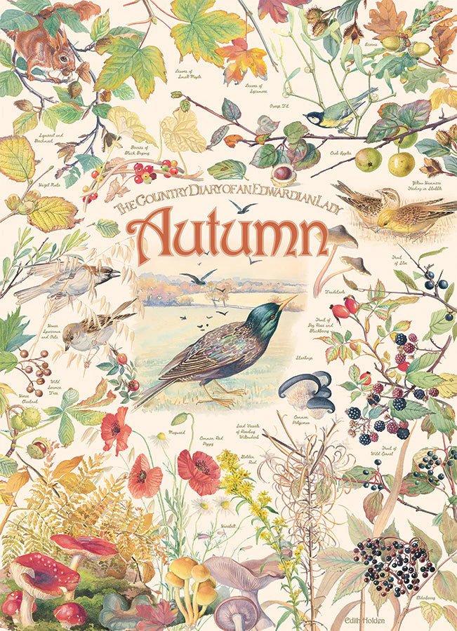 Country Diary: Autumn 1000 Piece Jigsaw Puzzle | Cobble Hill Puzzles - Jigsaw Puzzles - The Puzzle Center