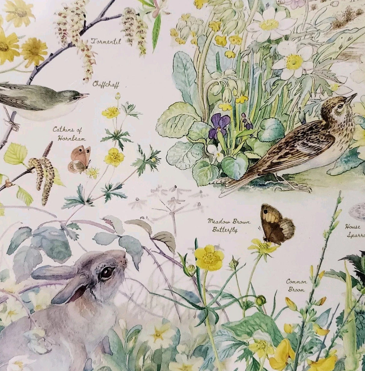 Country Diary: Spring 1000 Piece Jigsaw Puzzle | Cobble Hill - Jigsaw Puzzles - The Puzzle Center