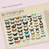 Entomology 1000 Piece Jigsaw Puzzle | Cloudberries - Jigsaw Puzzles - The Puzzle Center