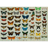 Entomology 1000 Piece Jigsaw Puzzle | Cloudberries - Jigsaw Puzzles - The Puzzle Center