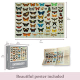 Entomology 1000 Piece Jigsaw Puzzle | Cloudberries - Jigsaw Puzzles - The Puzzle Center