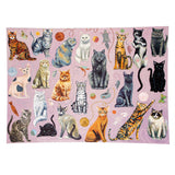 Feline Friends Cats 1000 Piece Jigsaw Puzzle | 1Canoe2 - Jigsaw Puzzles - The Puzzle Center