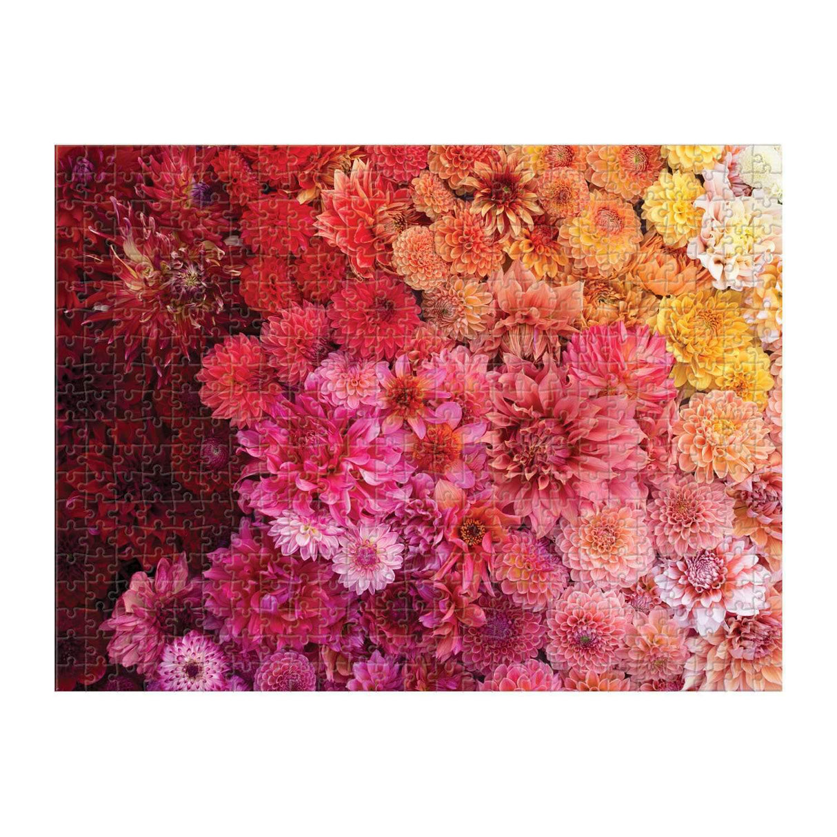 Floret Farm's Cut Flower 2 - sided 500 Piece Jigsaw Puzzle | Galison - Jigsaw Puzzles - The Puzzle Center