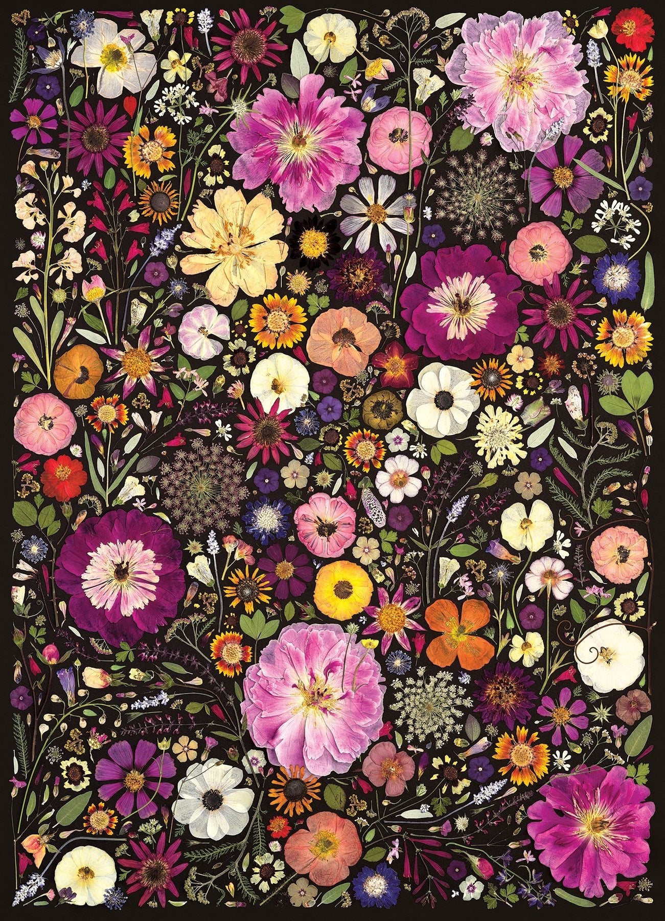 Flower Press Red Daisy 500pc Puzzle – The Puzzle Center