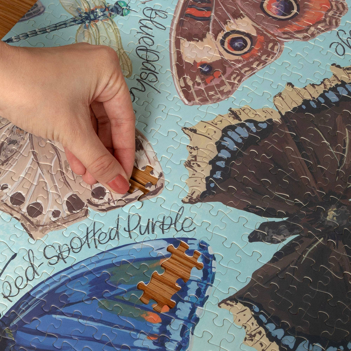 Flutter Friends Butterfly 1000 Piece Jigsaw Puzzle | 1Canoe2 - Jigsaw Puzzles - The Puzzle Center