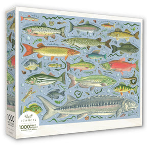Freshwater Fish 1000 Piece Jigsaw Puzzle | 1Canoe2 - Jigsaw Puzzles - The Puzzle Center