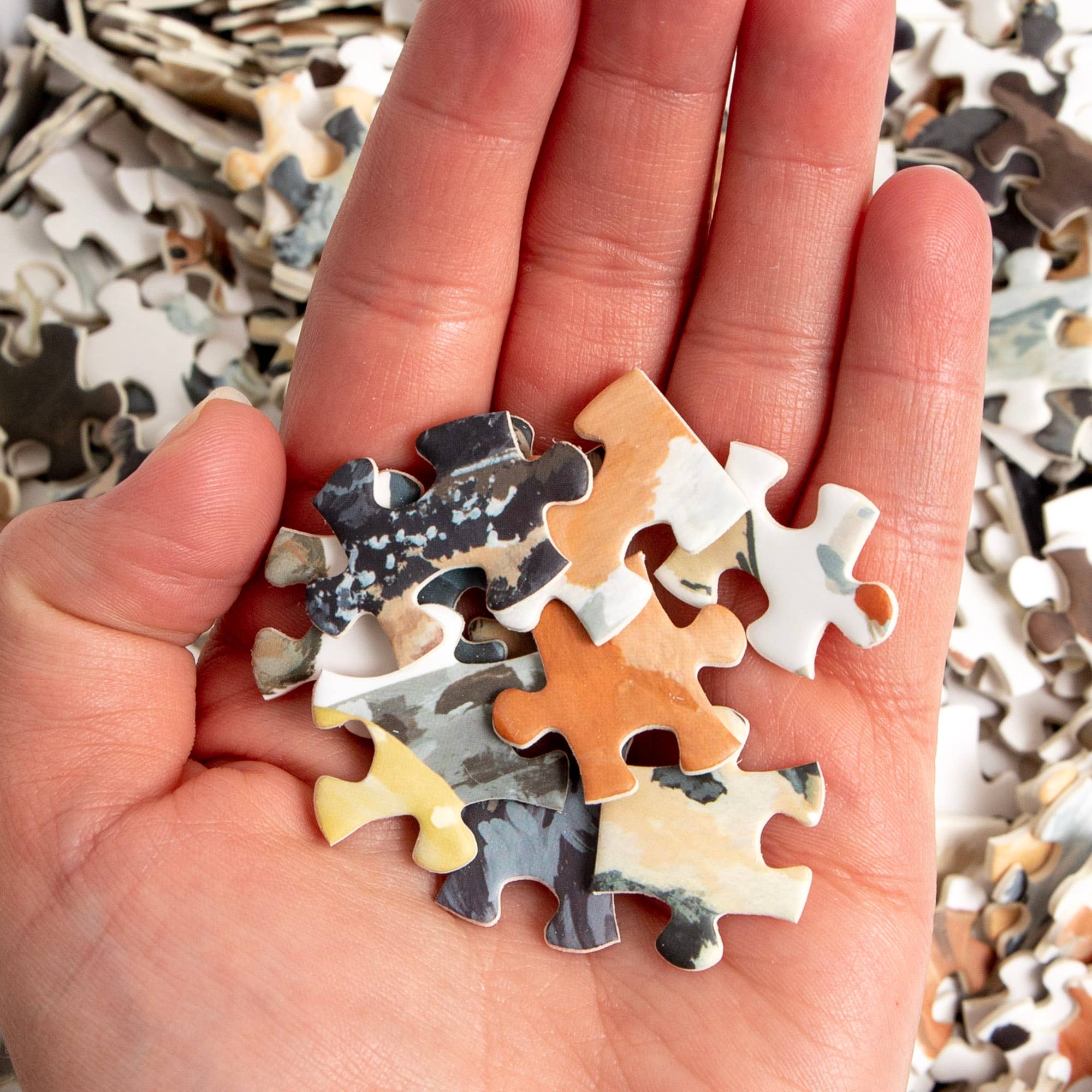 Furry Friends 1000 Piece Dog & Cat Puzzle – The Puzzle Center