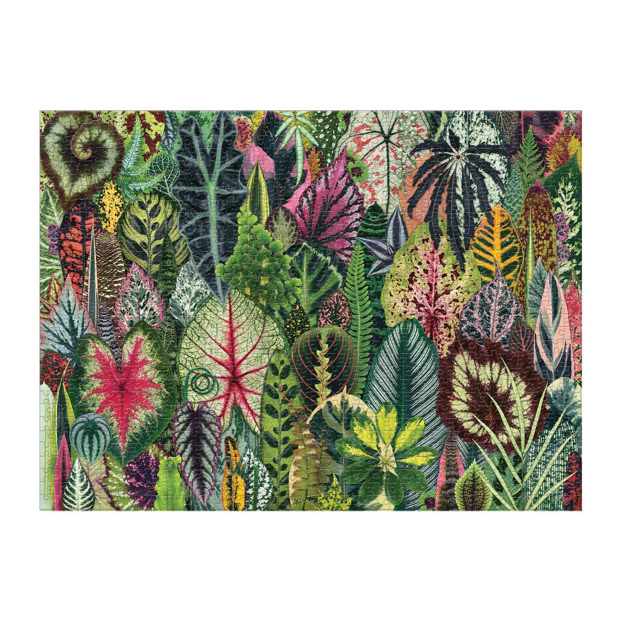 Houseplant Jungle 1000 Piece Puzzle by Galison - Galison - Jigsaw Puzzles - The Puzzle Center - 