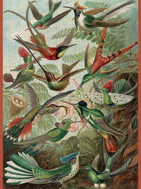 Hummingbirds 300 - Piece Jigsaw Puzzle by Pomegranate - Ernst Haeckel Art - Pomegranate - Jigsaw Puzzles - The Puzzle Center - 