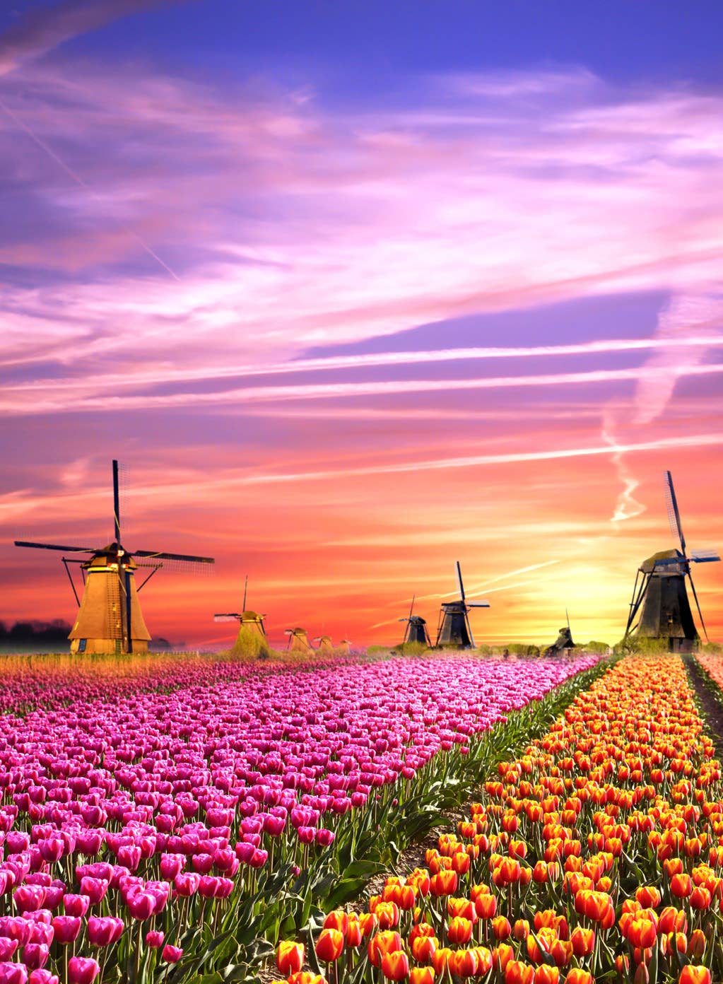 Magical Sunrise Netherlands 500 Piece Puzzle – The Puzzle Center