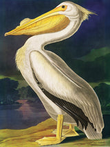 Majestic Pelican 500 Piece Jigsaw Puzzle | New York Puzzle Company - Jigsaw Puzzles - The Puzzle Center